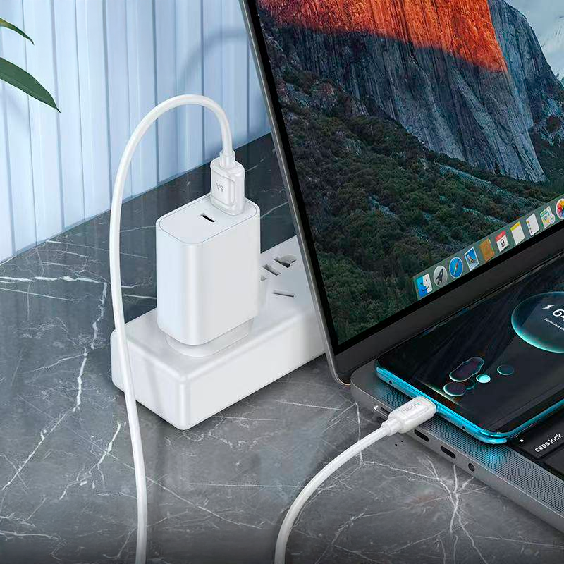 Cable Usb a Tipo C Hoco X115 100w 1 Metro Blanco