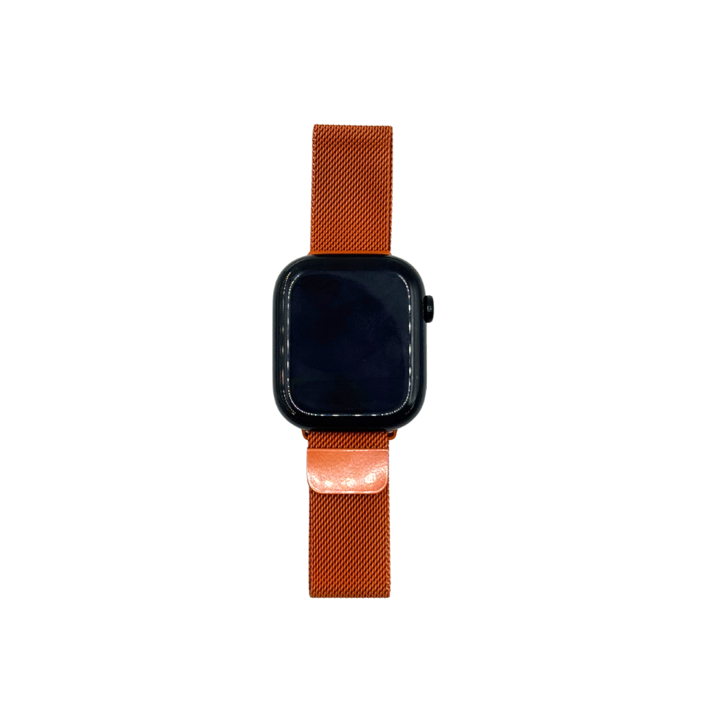 Correa Apple Watch de malla