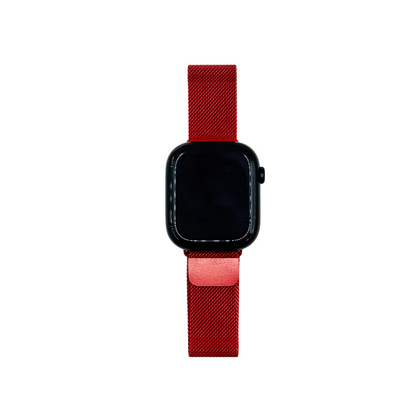 Correa Apple Watch de malla